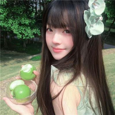 幻梦战记莉达